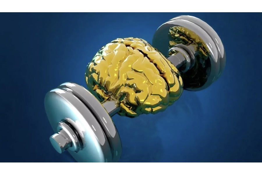 Mental Toughness Is Trainable: Why Your aMCC Might Be the Key