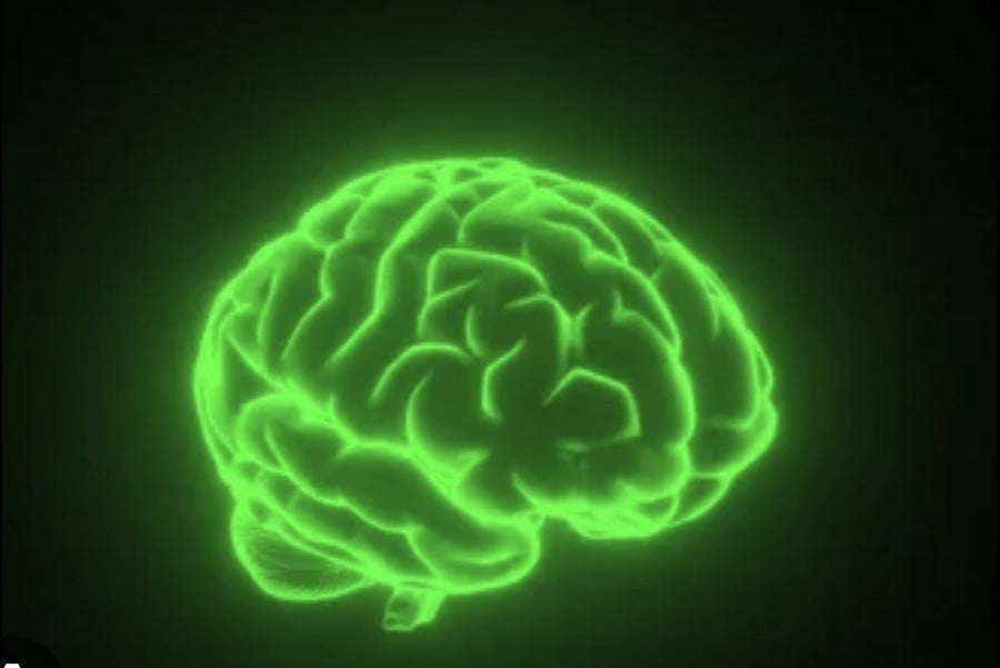 What Sugar Does to Your Brain — and the Matcha Drink That Reverses It