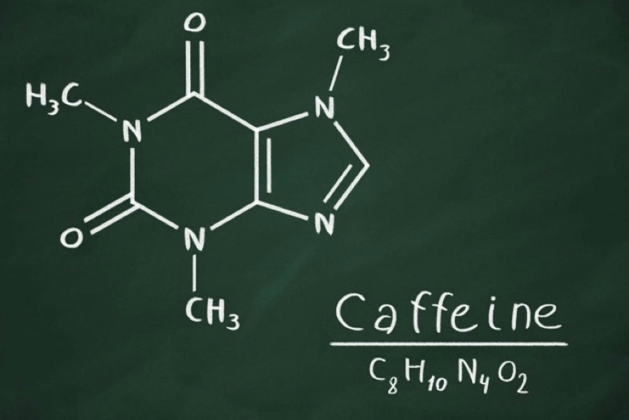 The Science of Caffeine: Why Matcha Powers You Differently